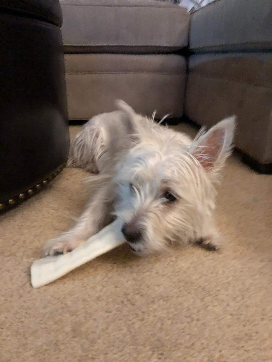 Pet Factory CareChewz Collagen 6-7" Small Wraps Dog Chew Treats - Natural Flavor, 4 Count/1 Pack