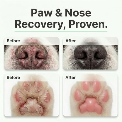 2-in-1 Dog Paw Balm & Nose Cream Set (2.7oz) - Natural Lick-Safe Snout Soother & Wax. Heals Dry Cracked Pads & Hyperkeratosis. Protection for Hot Pavement & Winter Snow. Cat Paw Balm