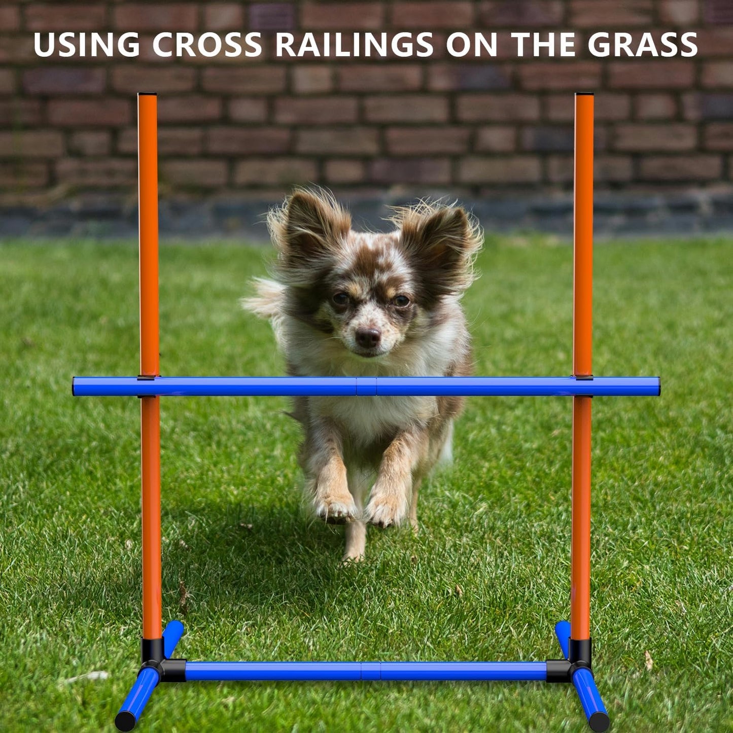 6Set Dog Agility Jumps Hurdle Course Training Equipment for Dogs, Indoor Outdoor Backyard Exercise Equipment