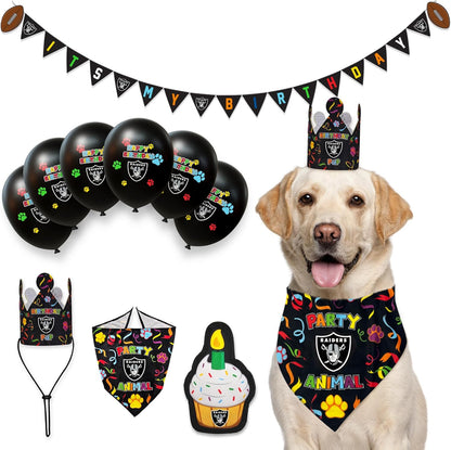 NFL Las Vegas Raiders Pet Birthday Crown, Licensed Dog & Cat Birthday Party Hat, Football Team Costume Accessory, Pet Celebration Outfit