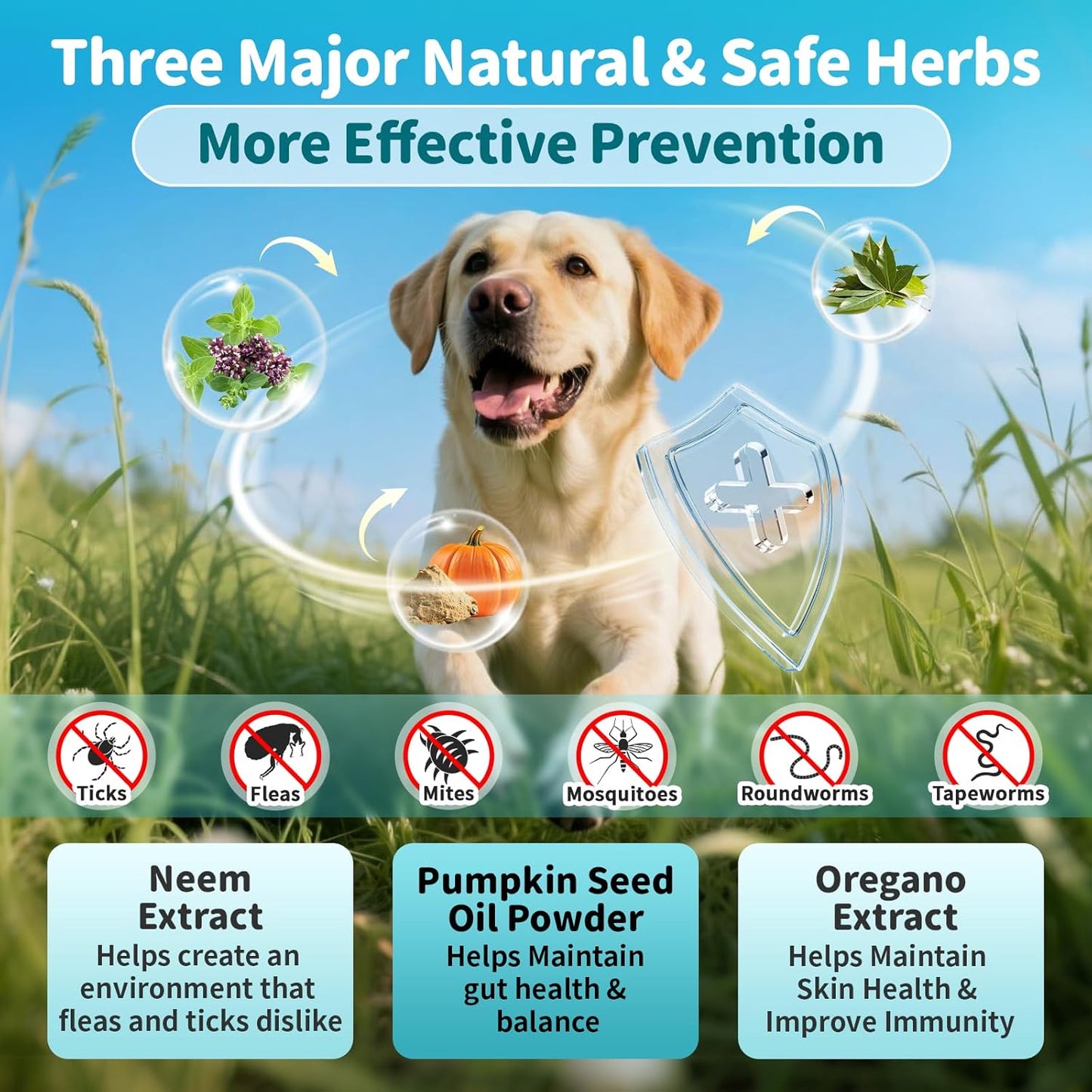 Flea and Tick Prevention Support for Dogs, Natural Flea Treatment Drops with Neem, Oregano for Puppy Oral Flea and Tick Treatment Supplement for All Breeds and Ages - Chicken Flavor, 2 FL.Oz