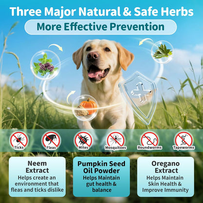 Flea and Tick Prevention Support for Dogs, Natural Flea Treatment Drops with Neem, Oregano for Puppy Oral Flea and Tick Treatment Supplement for All Breeds and Ages - Chicken Flavor, 2 FL.Oz