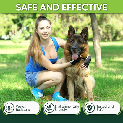 4 Pack Flea and Tick Collar for Dogs, 8-Month Protection, Flea Tick Prevention for Dogs (Gray Collar, 4 Pack)