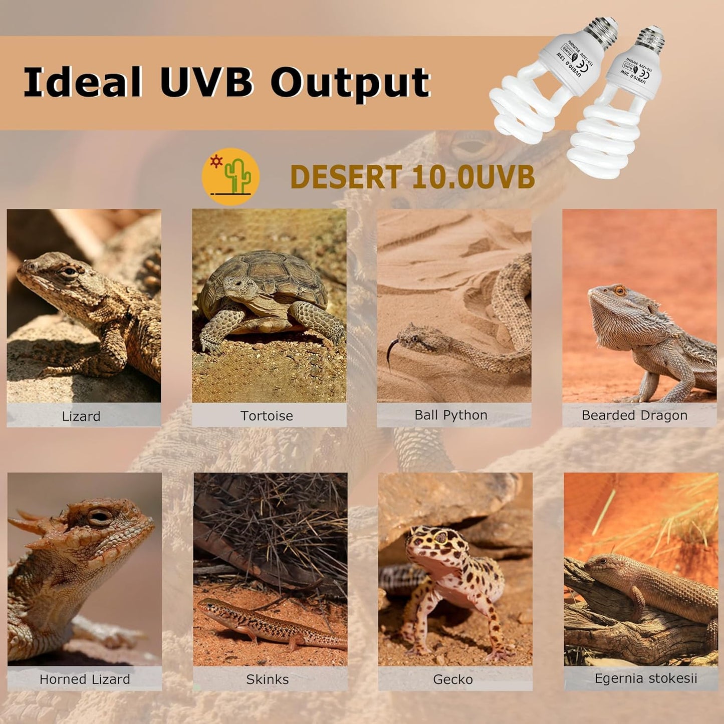 UVB 105.0 Reptile Light 13W, Compact Fluorescent Lamp，Coil UVB Desert Bulb–Lighting for Bearded Dragons, Lizards, Tortoises, Snakes, Geckos, Amphibians & Small Reptile Tanks