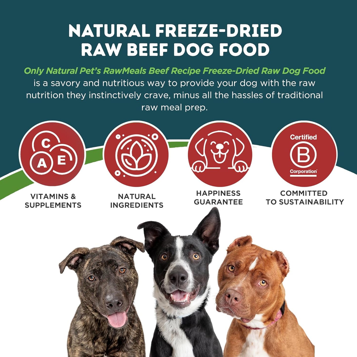 Only Natural Pet RawMeals Beef Recipe Freeze-Dried Dog Food - High-Protein, Grain-Free, with Organ Meat, Fruits & Veggies - Complete Meal, Topper or Treat for All Breeds & Picky Eaters - 25 oz