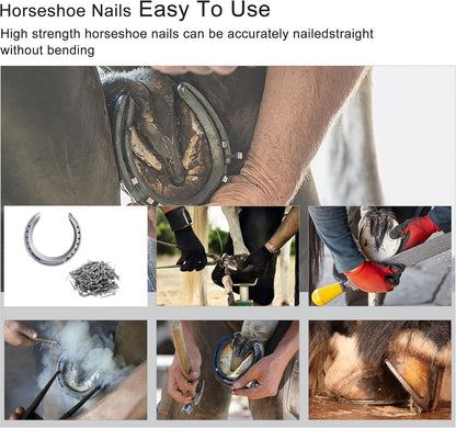 250pcs E5 Horseshoe Nails 2 Inch Stainless Steel Horseshoe Nails Nails Horse Hoof Nails Horseshoe Tools for Stained Glass,Horse Training Equestrian Sports