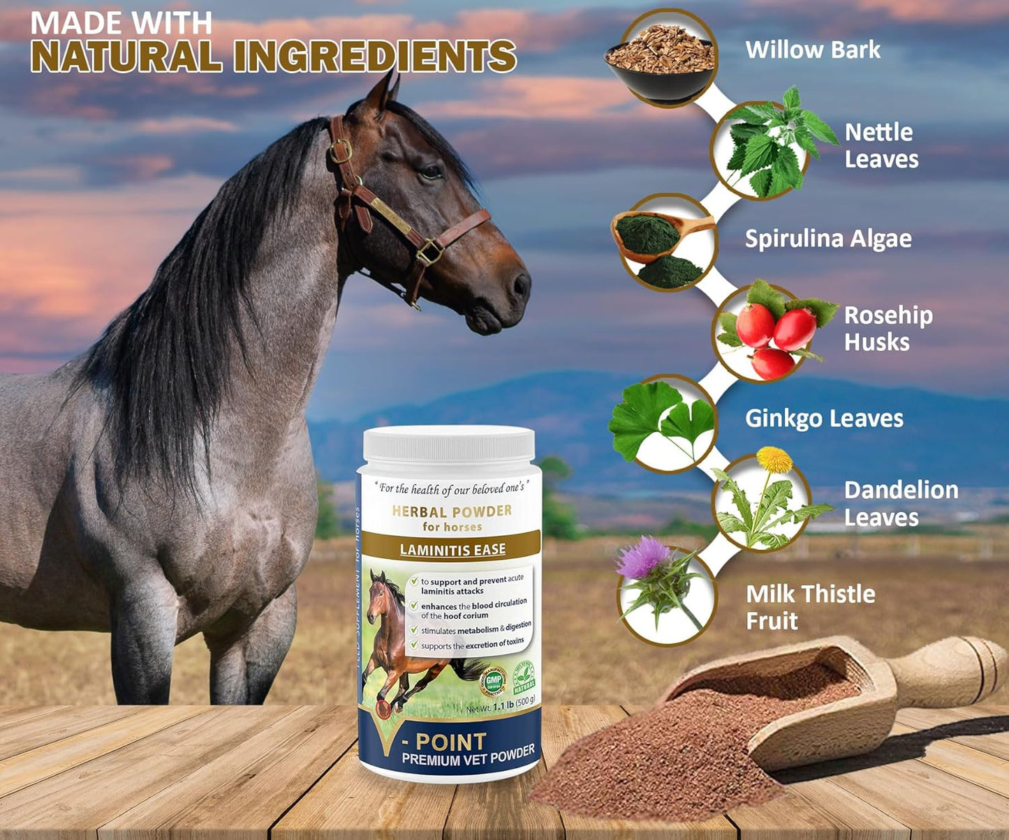 V-POINT - Laminitis Ease - hoof Supplements for Horses - Horse hoof Care Product Based on Natural Herbal Powder - Ideal for Hooves Health and Conditioning (1.0 lb)