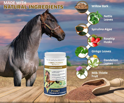 V-POINT - Laminitis Ease - hoof Supplements for Horses - Horse hoof Care Product Based on Natural Herbal Powder - Ideal for Hooves Health and Conditioning (1.0 lb)