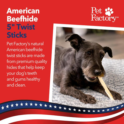 Pet Factory American Beefhide 5" Twist Sticks Dog Chew Treats - Natural Flavor, 1 lb