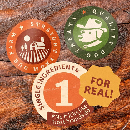 Nature's Ranch Premium Marrow Bones for Dogs – 6–7 Inch, 3 Pack, 100% Natural, Slow-Roasted, Long-Lasting Chews for Dental Health | Ideal for Medium & Large Dogs