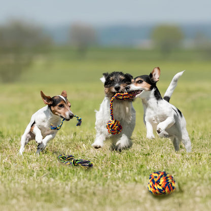 Puppy Teething Toys for Small Dogs, 5 Pack Cotton Puppy Dog Rope Toy for Small Dogs, Durable Dog Chew Toys for Aggressive Chewers Small Breed, Interactive Tug of War Puppy Toys to Keep Them Busy