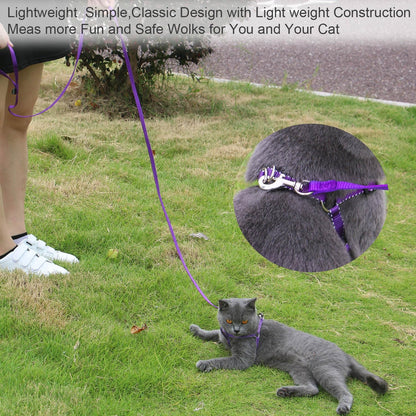 AMAGOOD 6 FT Cat Leash, Strong and Durable Traditional Style Leash with Easy to Use Collar Hook,Cat Lead Great for Cats (3/8 in x 6 ft,Black and Pruple(2-Pack))