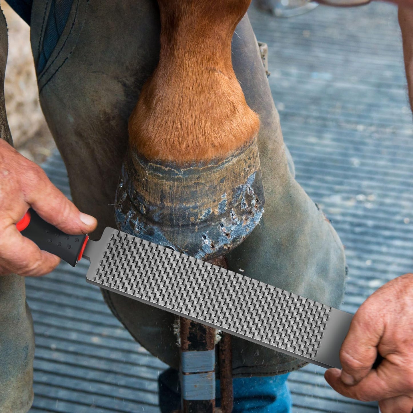 Gisafai 2 Pcs 18 and 12 Inch Rasps for Shoeing Horses with Handle Trimming File Carbon Steel Farrier Tools for Repair Horse Hooves Goat Hooves Cow Donkey Pig Animal Repairing Wood Working Supplies