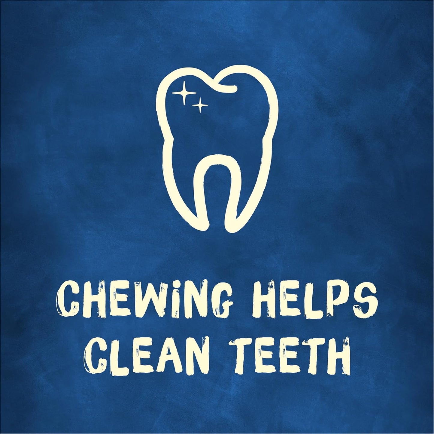 Purina Busy Bone Adult Dog Chew Bone Treats, Original - 10 ct. Pouch