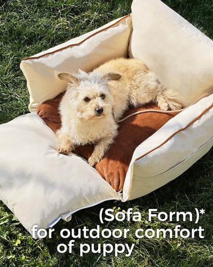 TINYBEAST Foldable Dog Car Seat for Small Dogs, Waterproof Dog Booster Seat with Backrest Protector, Portable Washable with Storage Pockets and Clip-On Leash, Car Travel Carrier Bed, Beige