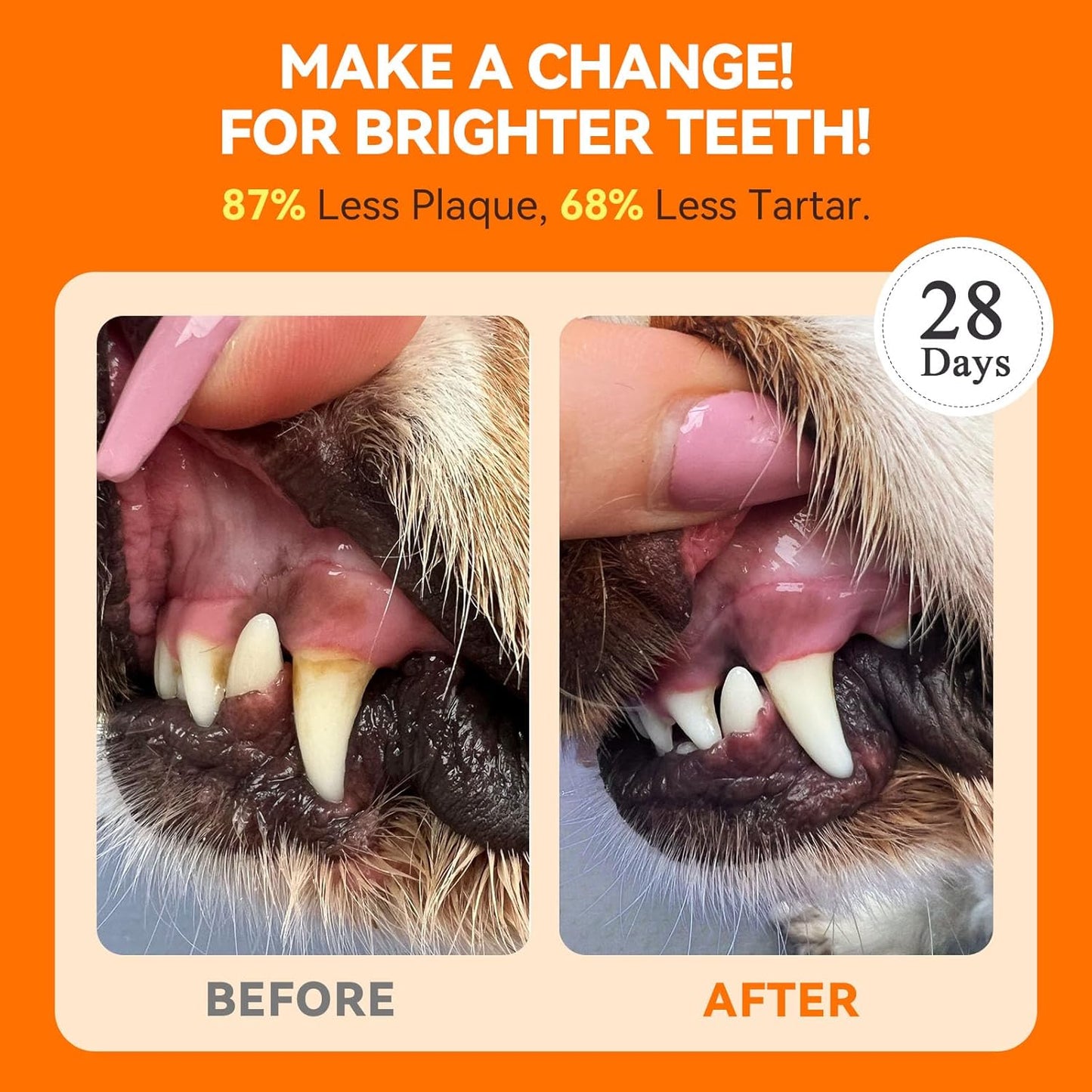 Dog Teeth Cleaning Powder + Dog Vitamins