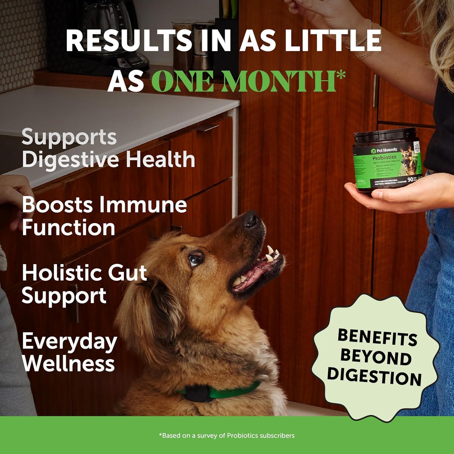 Pet Honesty Probiotics for Dogs - Digestive Enzymes Promotes Gut Health, Dog Probiotics for Bowel Support, Fiber for Regularity, Prebiotics for Immune Health & Gut Flora (Pumpkin, 90 ct)