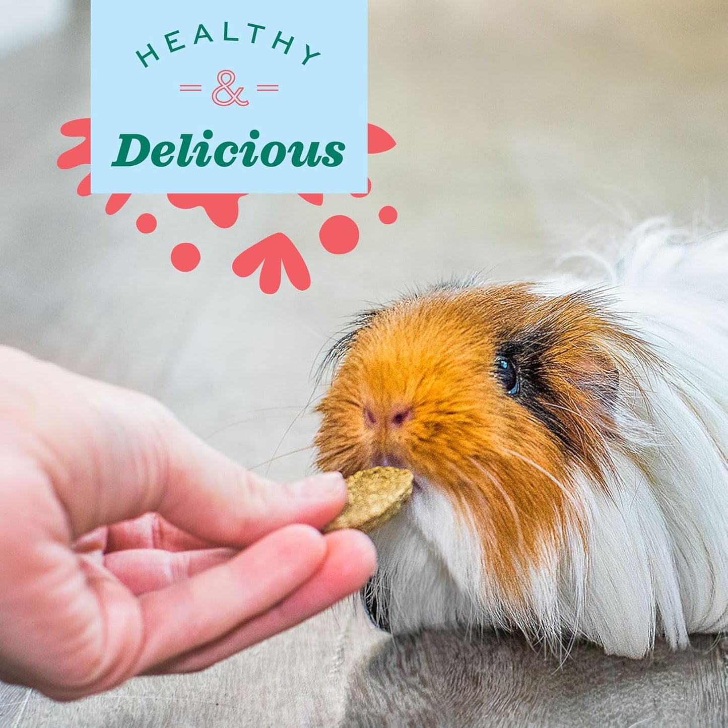 Oxbow Natural Science Digestive Support, High Fiber Supplement for Rabbit & Guinea Pig, Made with Timothy Hay, Includes Chicory Root, Ginger Root, Chamomile, Made in USA, 4.2 oz Bag