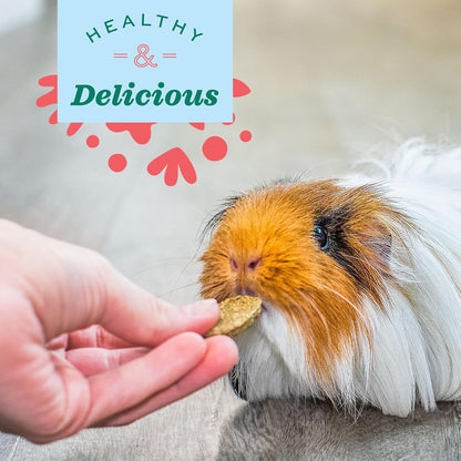 Oxbow Natural Science Digestive Support, High Fiber Supplement for Rabbit & Guinea Pig, Made with Timothy Hay, Includes Chicory Root, Ginger Root, Chamomile, Made in USA, 4.2 oz Bag