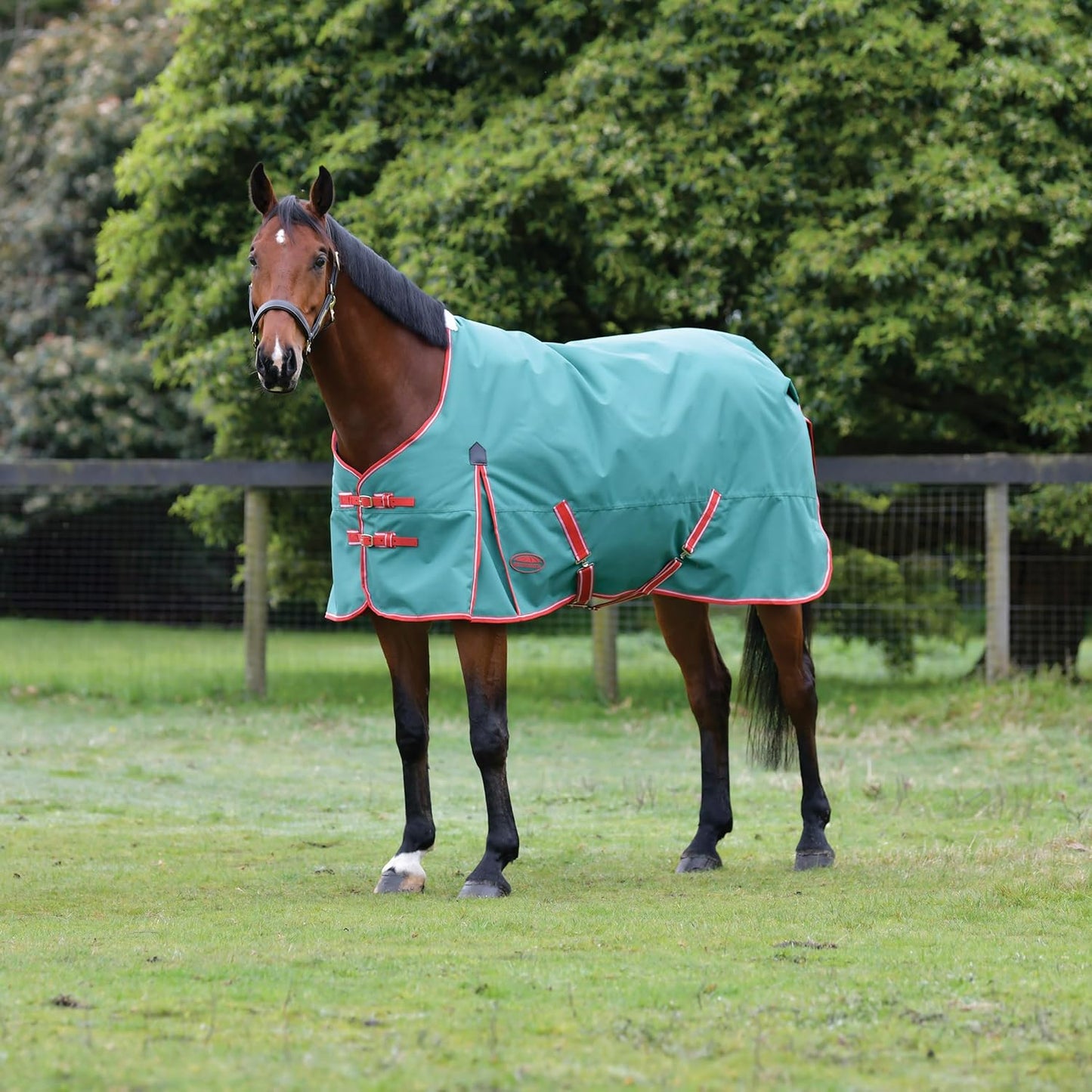 WeatherBeeta ComFiTec Prelim Standard Neck Medium, Dark Green/Red/White, 81"