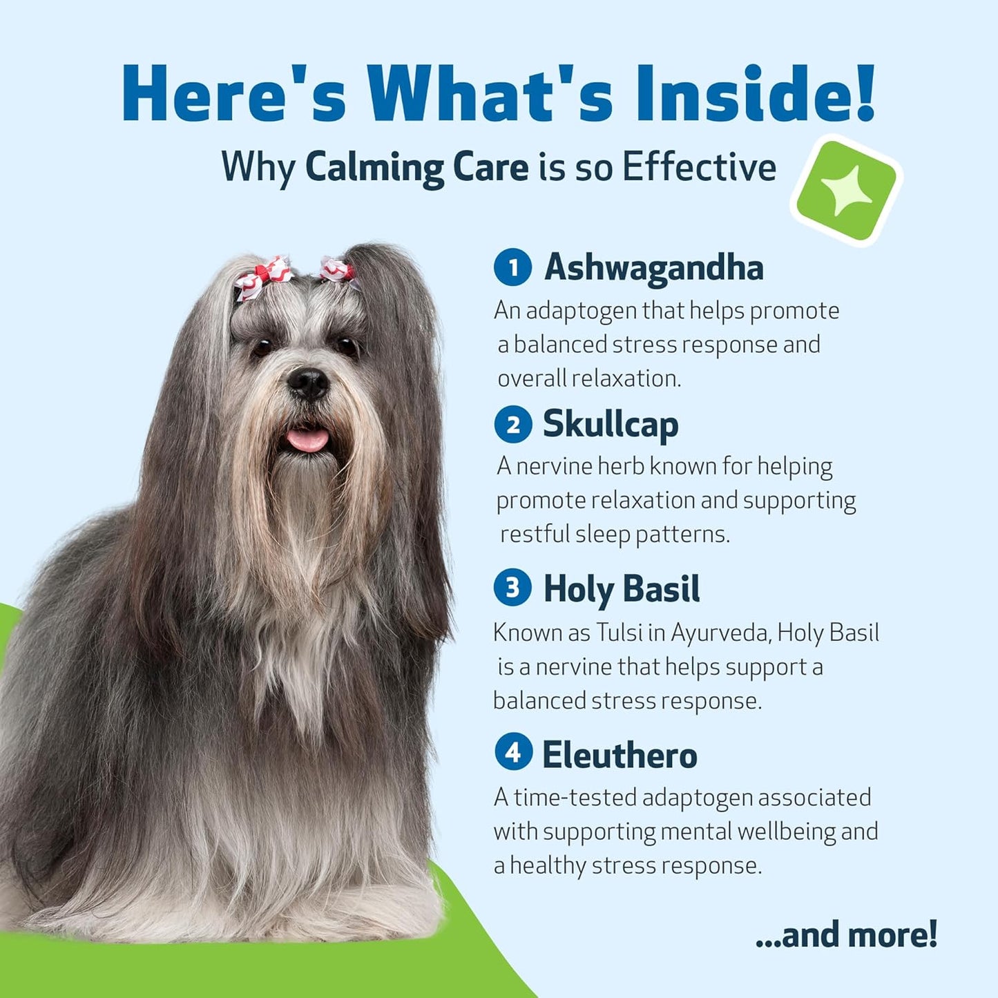 Pet Wellbeing Calming Care for Dogs - Veterinarian-Formulated - Calm Support, Relaxed Nervous System, Emotional Balance, Adaptogens - Herbal Supplement 4 oz (118 ml)