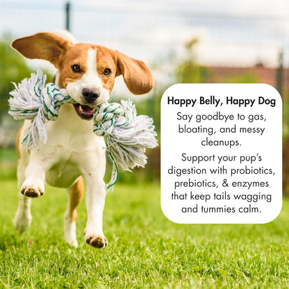 3-in-1 Digestive Support – Extra Strength Probiotics, Prebiotics & Digestive Enzymes for Dogs – Gut Health + Immunity + Diarrhea & Bowel Support – 2.4 Billion CFU – 60 Dog Chews