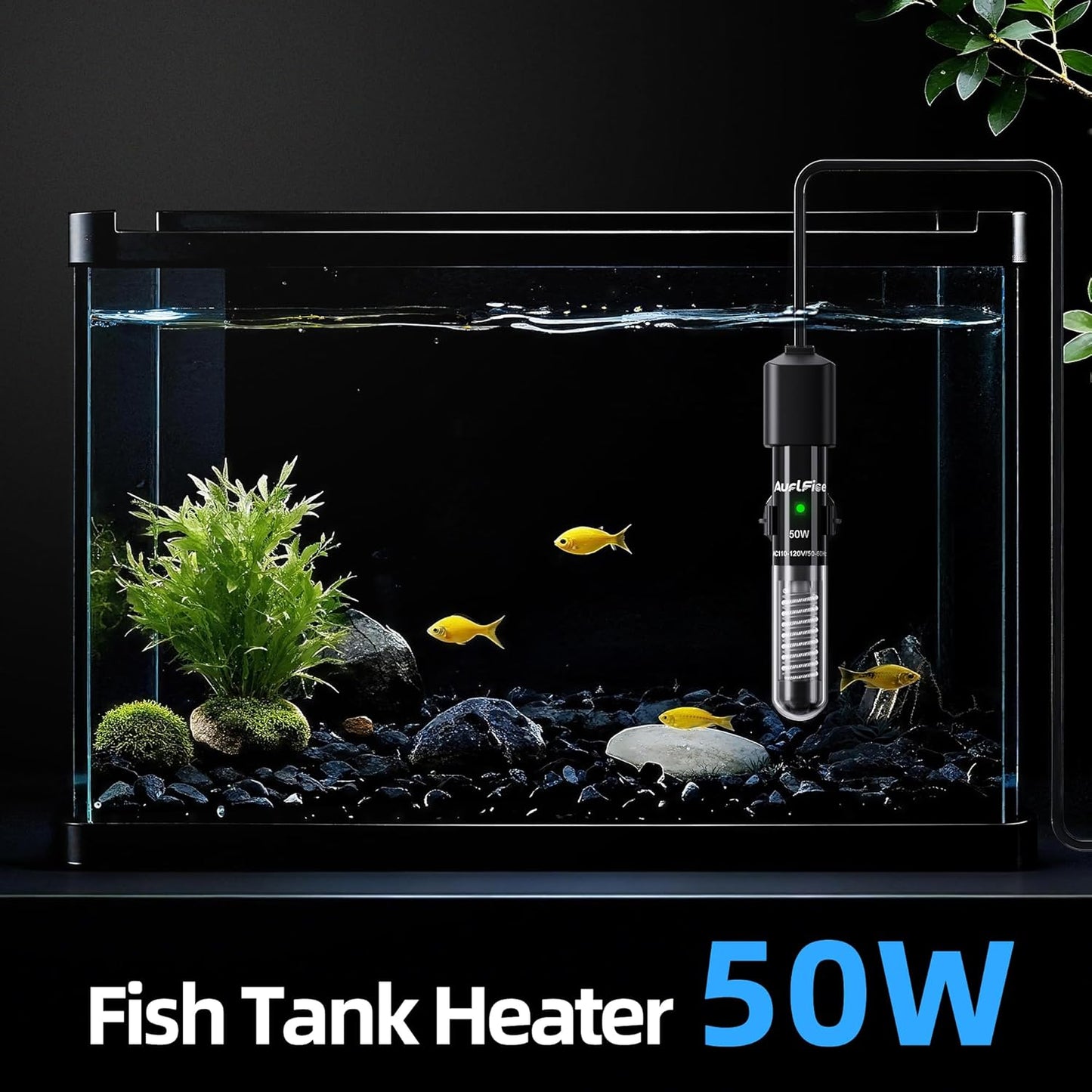 Fish Tank Heater for Aquarium - 50W Aquarium Heater, Small Submersible Tank Heaters with Mini Aquariums Thermometer for Betta Turtle Saltwater Freshwater 5-10 Gallon Tanks(Preset 78℉)