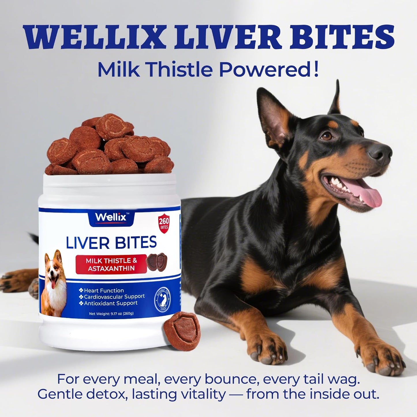 260 Bites Wellix Liver Support for Dogs - Milk Thistle for Dog Liver Supplements with Omega-3 - Supports Heart & Antioxidant for Large,Small Breed Fogs -Chicken Flavor