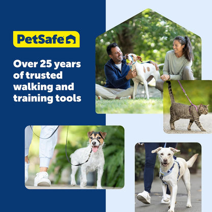 PetSafe Come with Me Kitty Cat Harness & Bungee Leash - Comfortable No-Choke Harness with Lightweight Bungee Leash for Outdoor Fun - Escape Free Pulling Prevention - Medium - Lilac