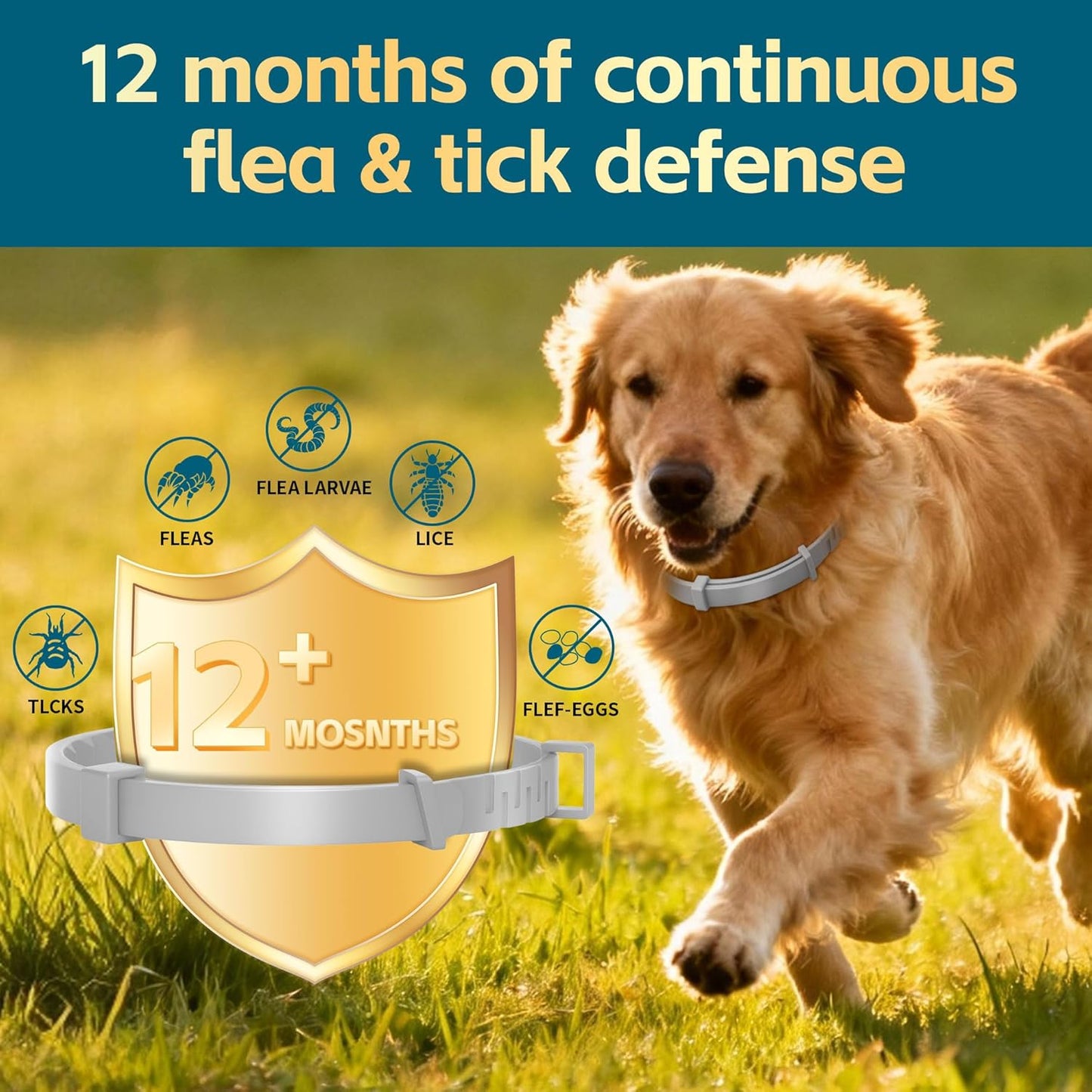 Flea Collars for Dogs, Dog Flea & Tick Control Flea Collar 12 Months Protection, Waterproof Dog Flea Collar, Flea Prevention for Dogs with Comb and Prevention Treatment Drop, 2Pack