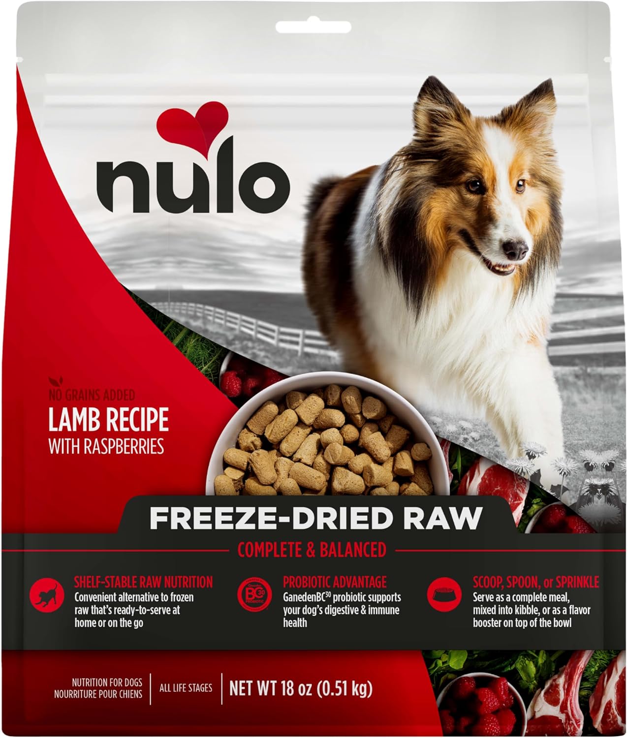 Nulo Freeze-Dried Raw Lamb Recipe with Raspberries Complete and Balanced Dry Dog Food Kibble, 18 Ounce Bag