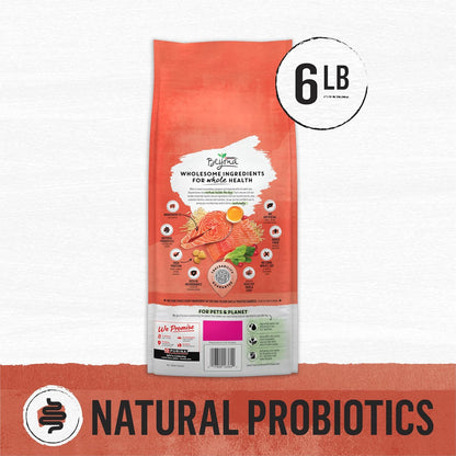 Purina Beyond Natural Wholesome Ingredients for Whole Health Dry Cat Food Salmon and Whole Brown Rice Recipe - 6 lb. Bag