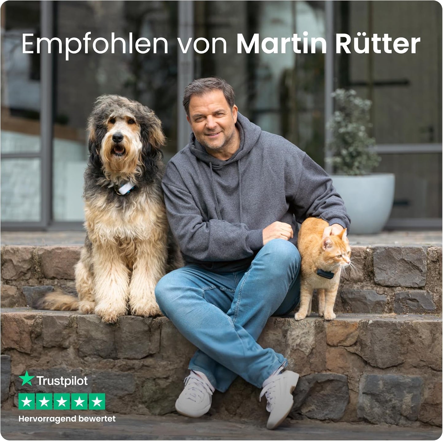 Tractive XL Smart Dog GPS Tracker | Live Pet Tracker with Virtual Fence | Vital Signs Monitoring of Heart & Respiratory Rate | Up to 1-Month Battery Life | Dog Collar Attachment (Green)