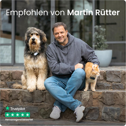 Tractive XL Smart Dog GPS Tracker | Live Pet Tracker with Virtual Fence | Vital Signs Monitoring of Heart & Respiratory Rate | Up to 1-Month Battery Life | Dog Collar Attachment (Green)