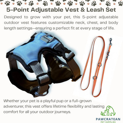 Cat 5-Point Adjustable Harness and Leash Set, Sky Blue Polyester, 5-Point Adjustable Vest with Reflective Lines Prefect for Outdoor Soft Comfortable (Small)
