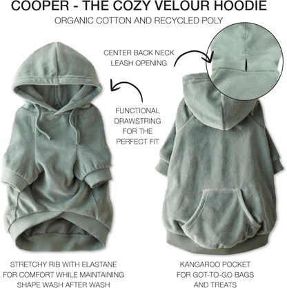 Cooper II Organic Cotton Velour Dog Hoodie Pet Coat for Small, Medium and Large Dogs, Sage, Medium (20-45 lbs)
