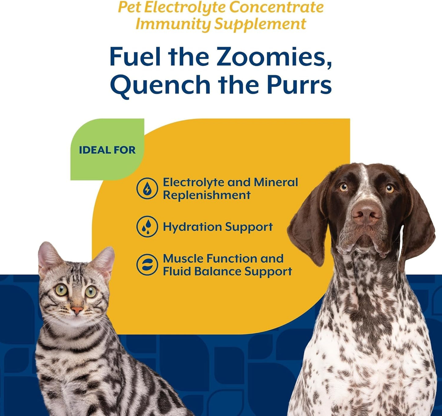 NaturVet Pet Electrolyte Concentrate for Dogs and Cats, 16 oz Liquid Concentrate, Made in The USA with Globally Source Ingredients