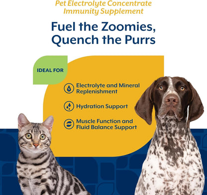 NaturVet Pet Electrolyte Concentrate for Dogs and Cats, 16 oz Liquid Concentrate, Made in The USA with Globally Source Ingredients