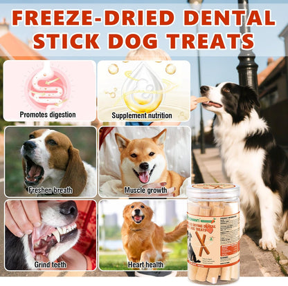 75g Dehydrated Salmon Sticks for Dog,Natural Salmon and Carrots,Easy to Digest and High Protein,for Daily Dog Training and Dental Healthy