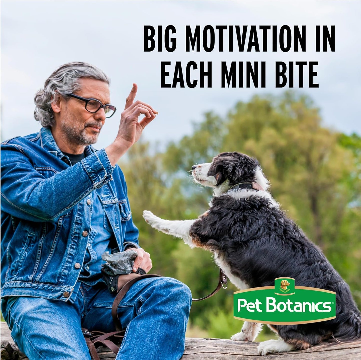 Pet Botanics Training Rewards Treats for Dogs, Made with Real Pork Liver, Focuses, Motivates, Rewards, Speeds Up Learning Curve, No BHA, BHT, Ethoxyquin, Bacon, 20 oz (1 pack)