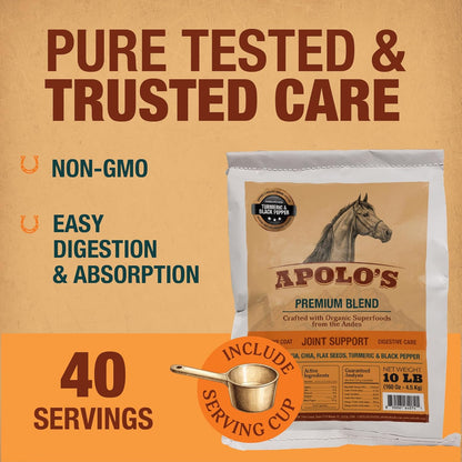 New! APOLO'S 100% Natural Horse Supplement for Daily Feeding – Joint Support, Coat Shine & Strength | Flaxseed, Quinoa, Chia | Turmeric and Black Pepper | 10 LB Bag