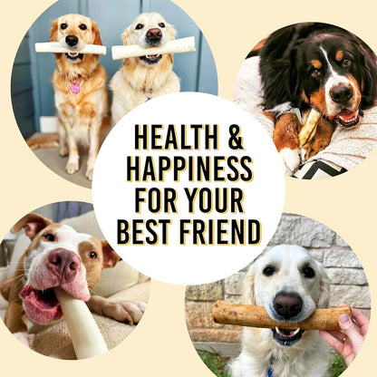 FIDELIS Rawhide Free Dog Chews Long Lasting, Treat Sticks, Dog Treats, Small & Large Dogs, Beef Collagen, Gluten Free, Grain Free, Pet Chew, Bones-Alternative, Made in USA, 4pk, Chicken, 7"
