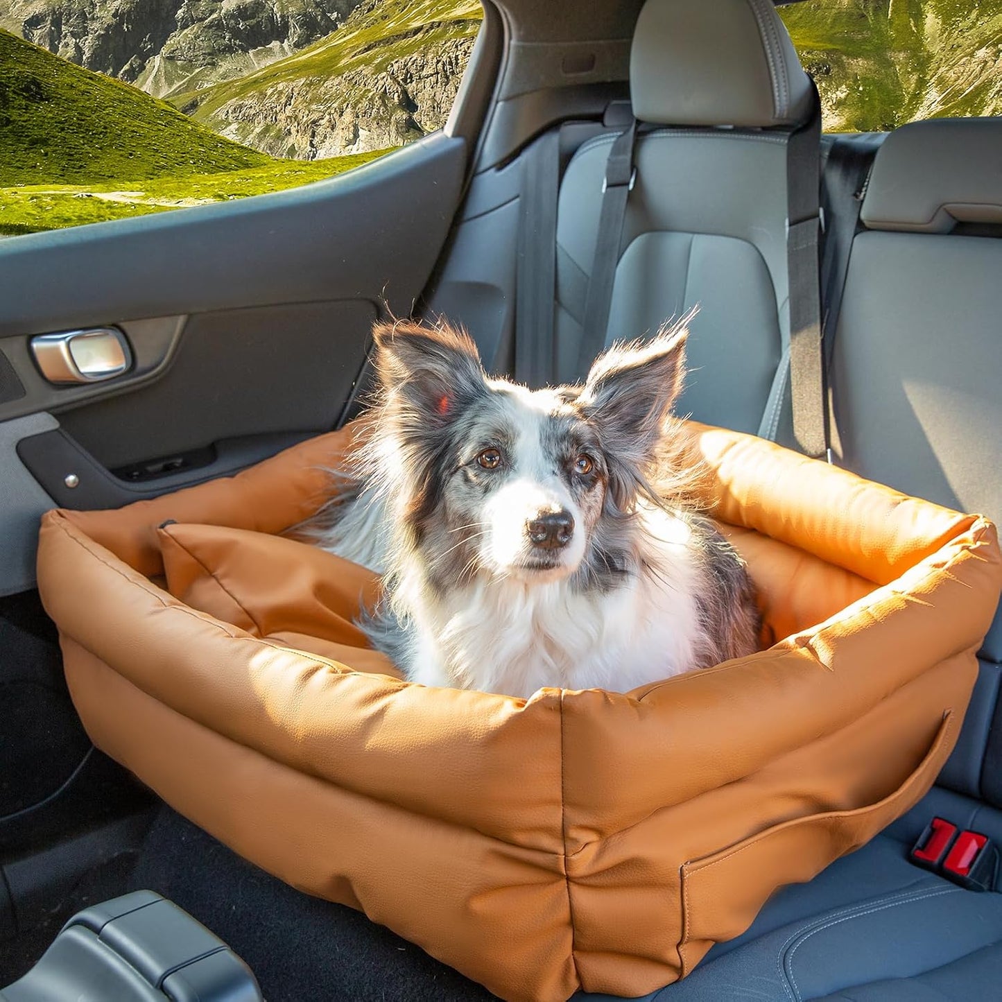 Dog Car Seat, Carseat for Medium Sized Dog, Dogbed for Car Back Seat, Travel Bed with Storage Pockets, Travel Accessories