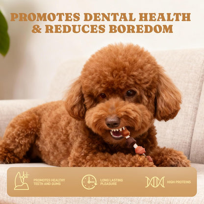 Dog Treats Bundle – Multi-Flavor Kabobs (5”) + Beef & Bully Sticks (7”, 10-Count), Low-Odor, Long-Lasting Chews for Dogs of All Breeds