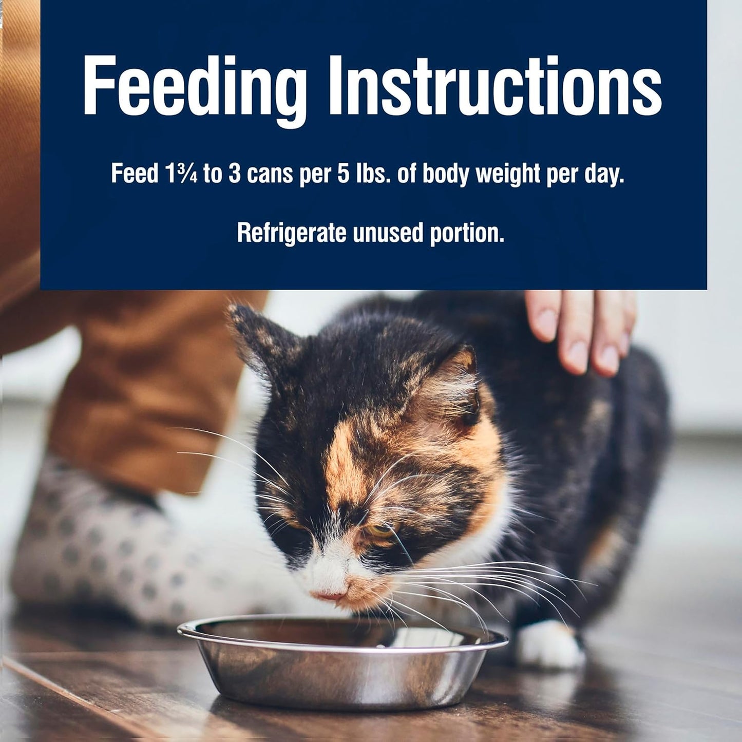 Blue Buffalo True Solutions Digestive Care Wet Cat Food for Adult Cats, Made with Natural Ingredients, Chicken, 3-oz. Cans (24 Count)