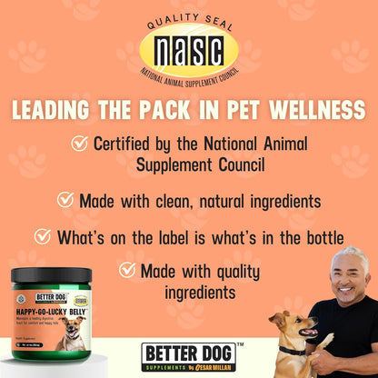 Better Dog Supplements Happy-Go-Lucky Belly by Cesar Millan – Natural Digestive Support Powder for Dogs – Upset Stomach Relief, Gut Balance & Regularity with Herbal Fiber Blend – 4oz (60-Day Supply)
