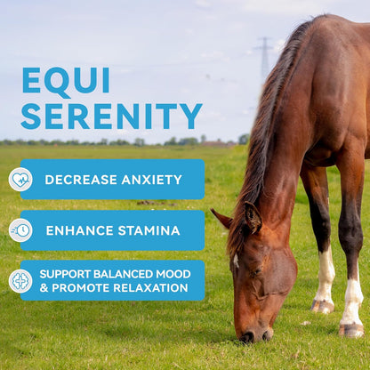 Calmative Taurine Supplement for Horses Enhance Focus and Concentration for Horse Health Focusing & Calming Taurine Powder Supplement 28-Day Supply