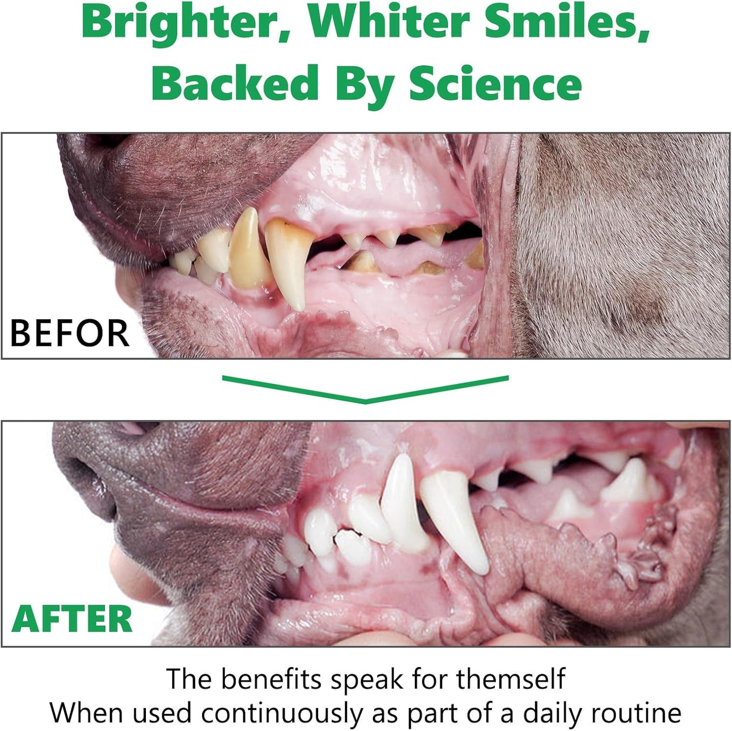 Teeth Cleaning Powder for Dogs - Dental Freshener with Probiotics for Bad Breath, Plaque, Tartar - Dental Care for Small, Medium, Large Dogs - 80g