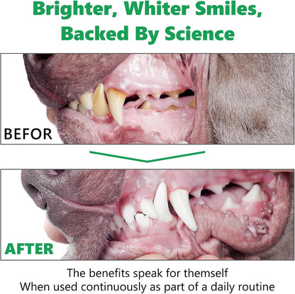 Teeth Cleaning Powder for Dogs - Dental Freshener with Probiotics for Bad Breath, Plaque, Tartar - Dental Care for Small, Medium, Large Dogs - 80g