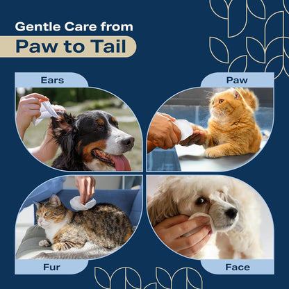 Dog Wipes for Paws and Butt - Plant Based Lavendar Scented (Pack of 400) - Pet Wipes for Dogs and Cats - Deodorizing Non Toxic Dog Wipes, +12 Additional Travel Wipes